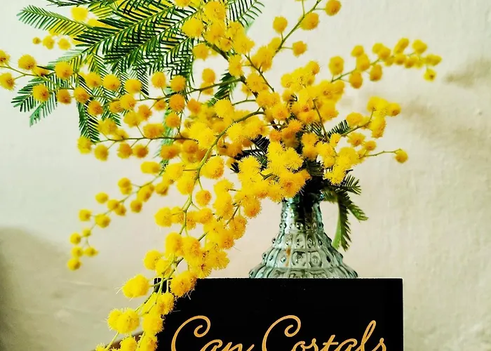 Costals Lavanda *