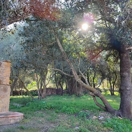 Costals Lavanda Appartement *
