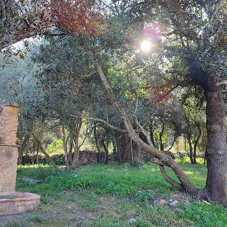 Costals Lavanda Appartamento *